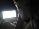 ���� ���� ���� ������