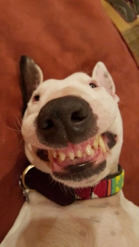 ������