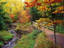 ���� Autumn 