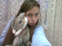 ������