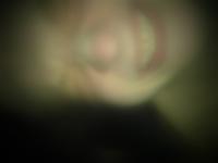 ������