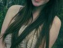 ���� 