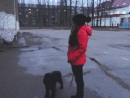 ���� 