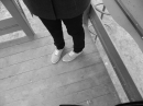 ���� ��3666