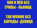 ���� ��� ��������