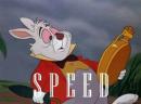 ���� Speed