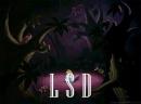 ���� LSD