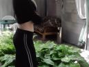 ���� ��� ��������