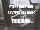 ���� ��