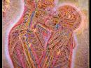 ���� Alex Grey 