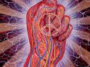 ���� Alex Grey "Peace fist"