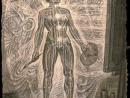 ���� Alex Grey 