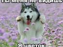 ���� ��� ��������