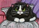 ���� Cat daddy