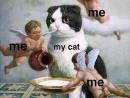 ���� 