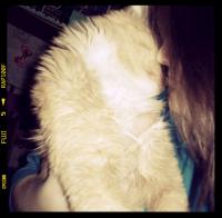 ������