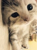 ������