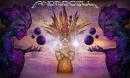 ���� Androcell