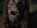 ���� Babe is "The Walking Dead" ^^