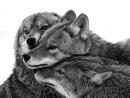 ���� Together