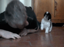 ���� ��� � ���� �������� �� ����... )) ������ �� ���, �� ����������� ������ ^^ :D