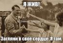 ���� ����������� 