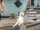 ���� ��� ��������