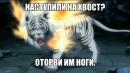 ���� ��� ��������