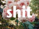 ���� ��� ��������
