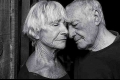 Sia - My Love