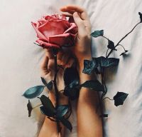 ������