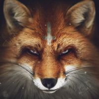 ������