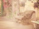 ���� the place to dream