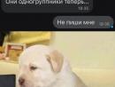 ���� 