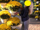 ���� 