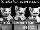 ���� ������ - ������ ������