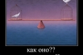 ����������..