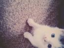 ���� ����*-* 