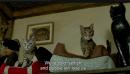 ���� yep