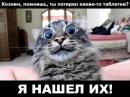 ���� ��� ��������