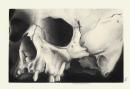 ���� "Skull Drawing" by lovedolphins10409