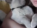 ���� ��� ��������